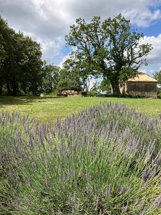 La Bastide Des Roman Villa Vernegues Esterno foto
